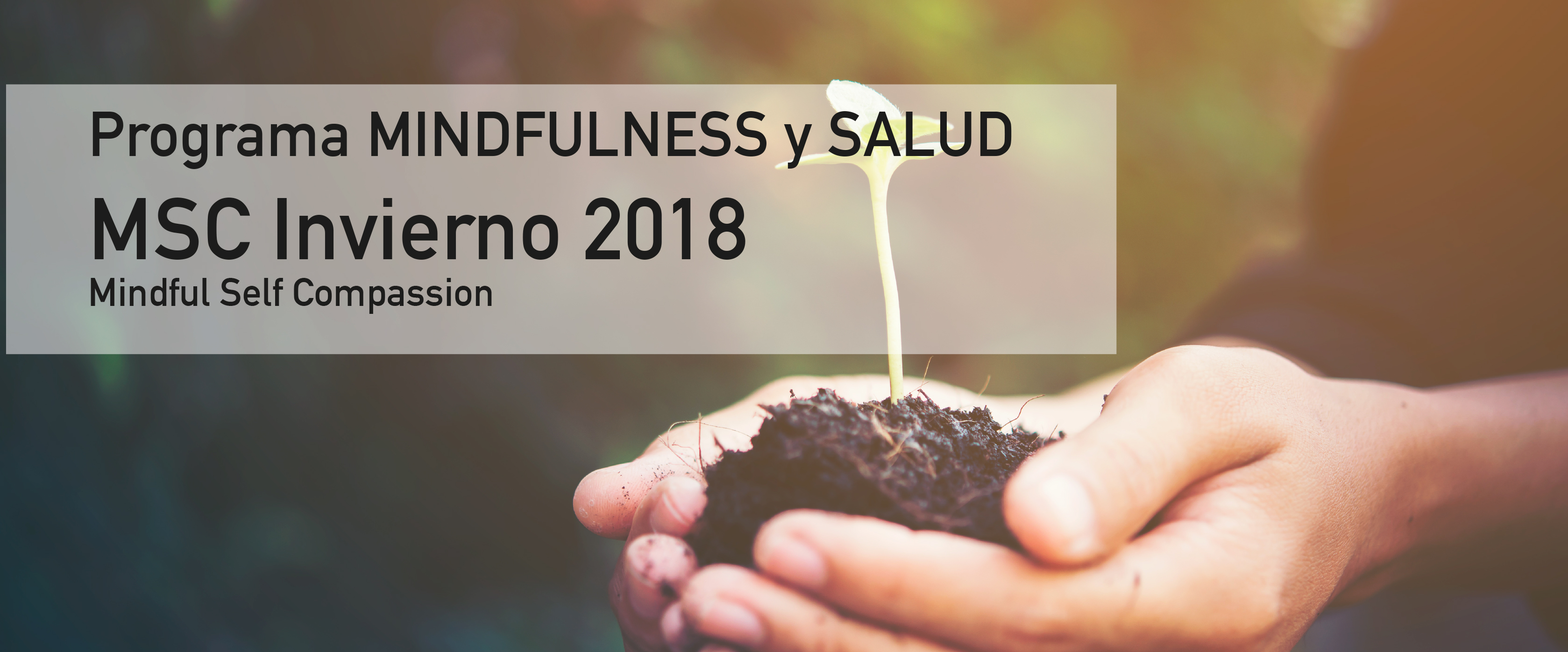 Programa Mindfulness y Autocompasión MSC Invierno 2018